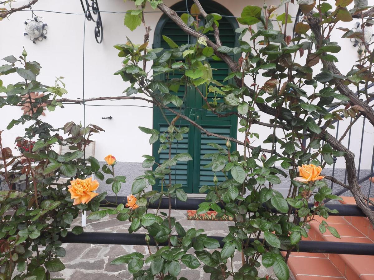 La Villa La Spezia Eksteriør bilde