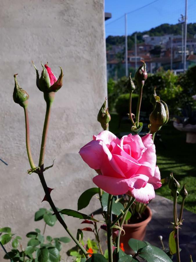 La Villa La Spezia Eksteriør bilde