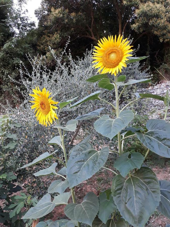 La Villa La Spezia Eksteriør bilde